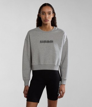 Napapijri Box Sweatshirt Sweatshirts Dames Grijs | SCFTUEK-81