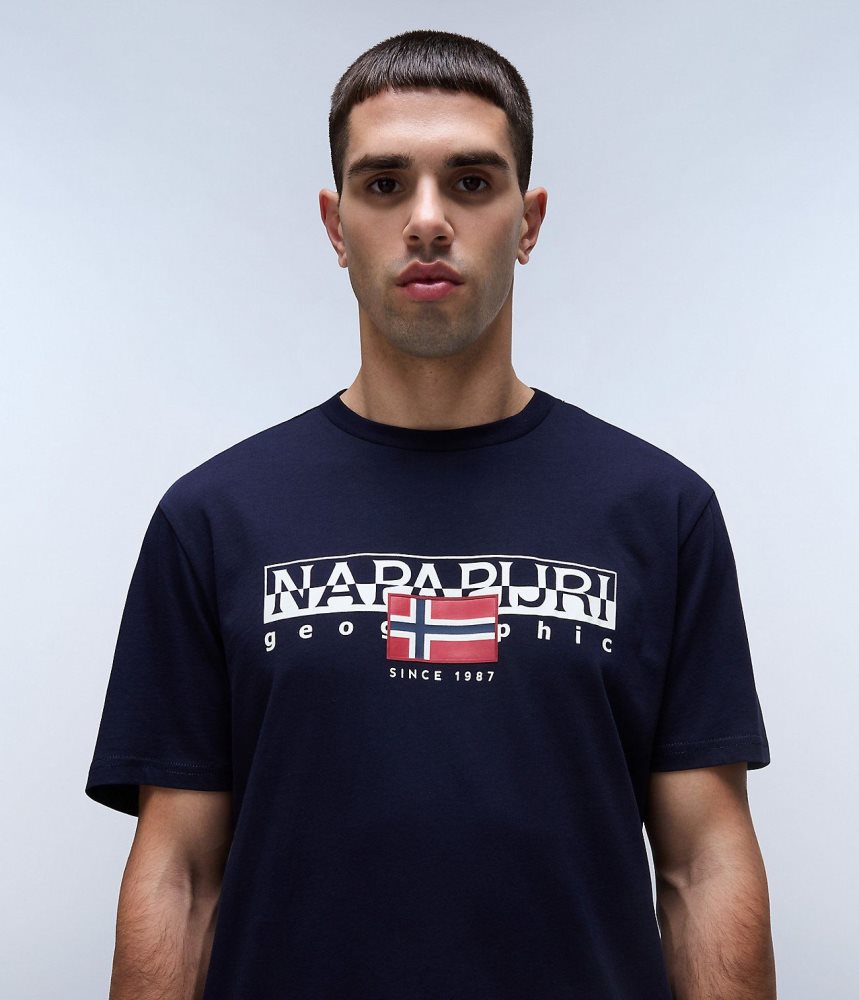 Napapijri Aylmer Short Sleeve T-Shirt T-shirts Heren Donkerblauw | FNSZEBO-24