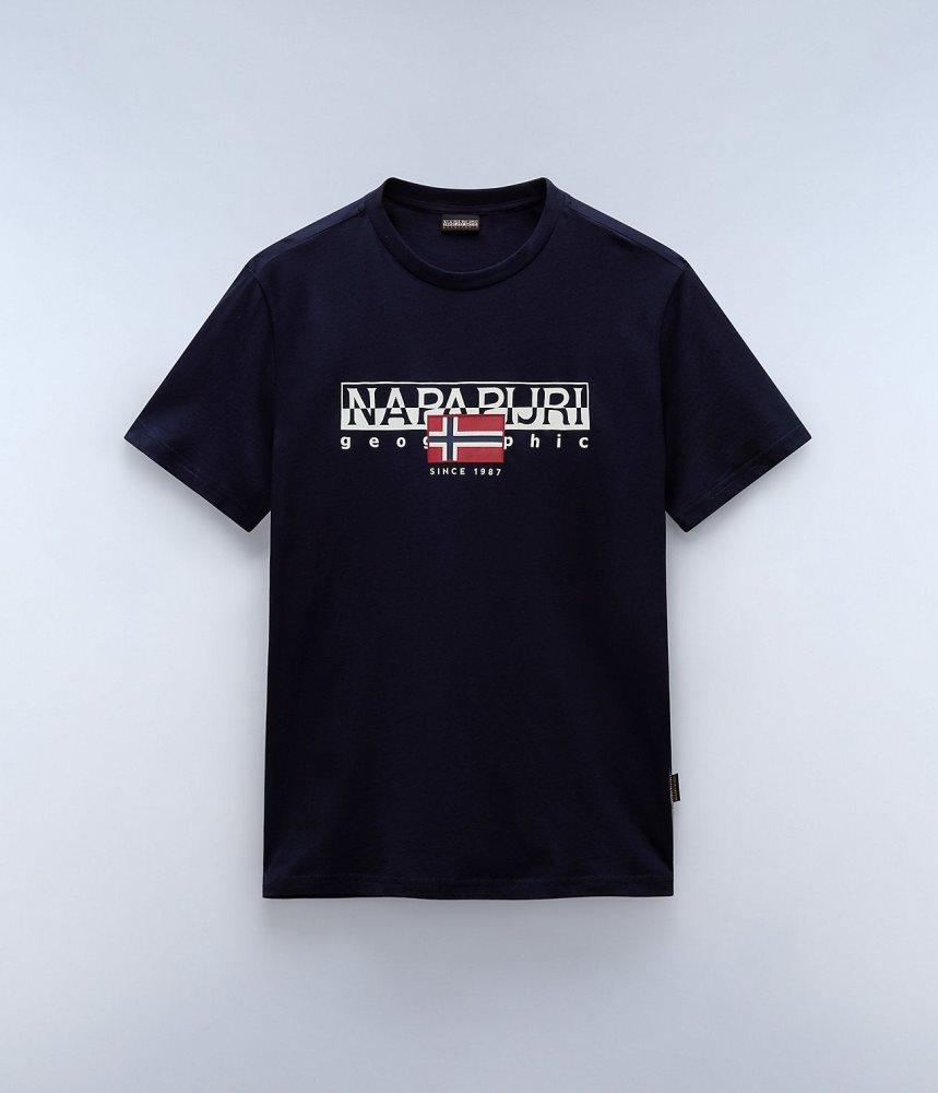 Napapijri Aylmer Short Sleeve T-Shirt T-shirts Heren Donkerblauw | FNSZEBO-24