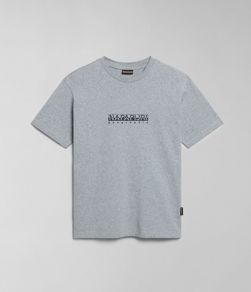 Napapijri Box Short Sleeve T-Shirt T-shirts Dames Grijs | KAEXMVF-93