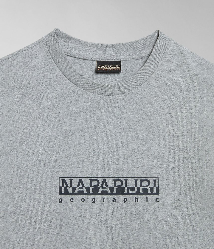 Napapijri Box Short Sleeve T-Shirt T-shirts Dames Grijs | KAEXMVF-93