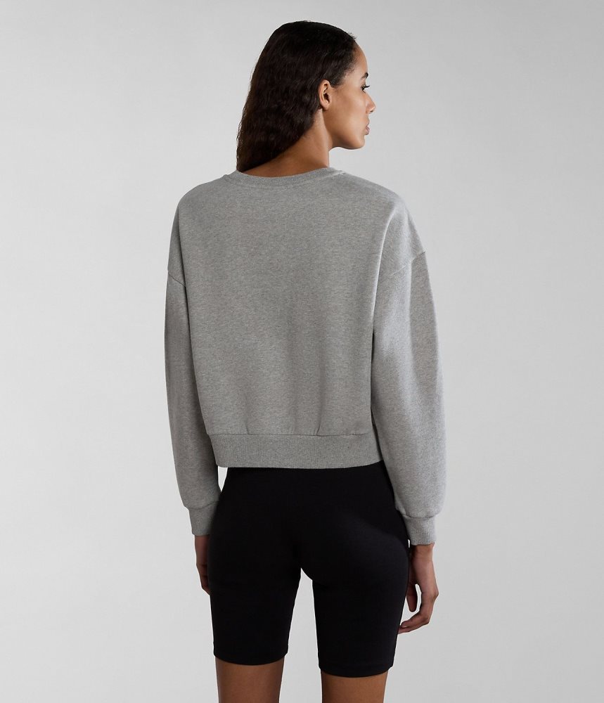 Napapijri Box Sweatshirt Sweatshirts Dames Grijs | SCFTUEK-81