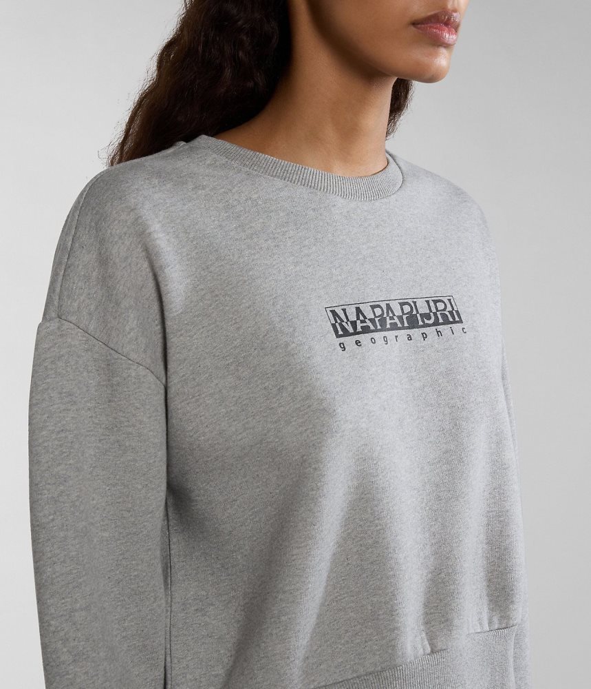 Napapijri Box Sweatshirt Sweatshirts Dames Grijs | SCFTUEK-81