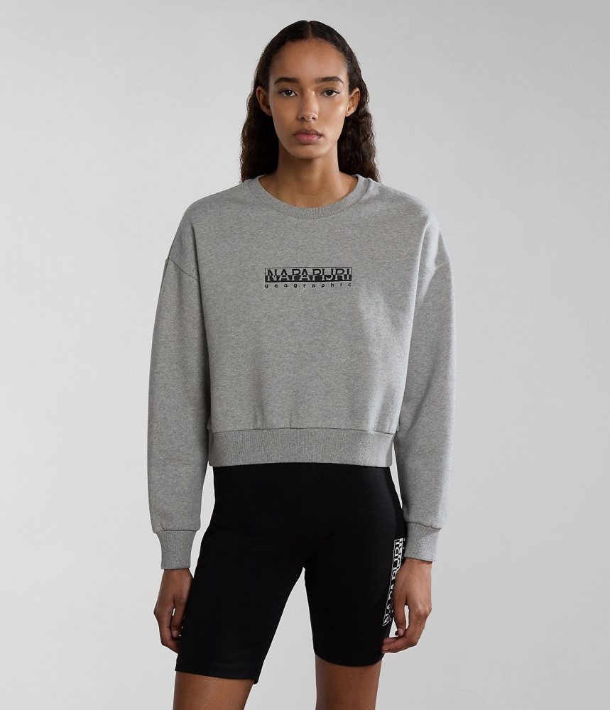 Napapijri Box Sweatshirt Sweatshirts Dames Grijs | SCFTUEK-81