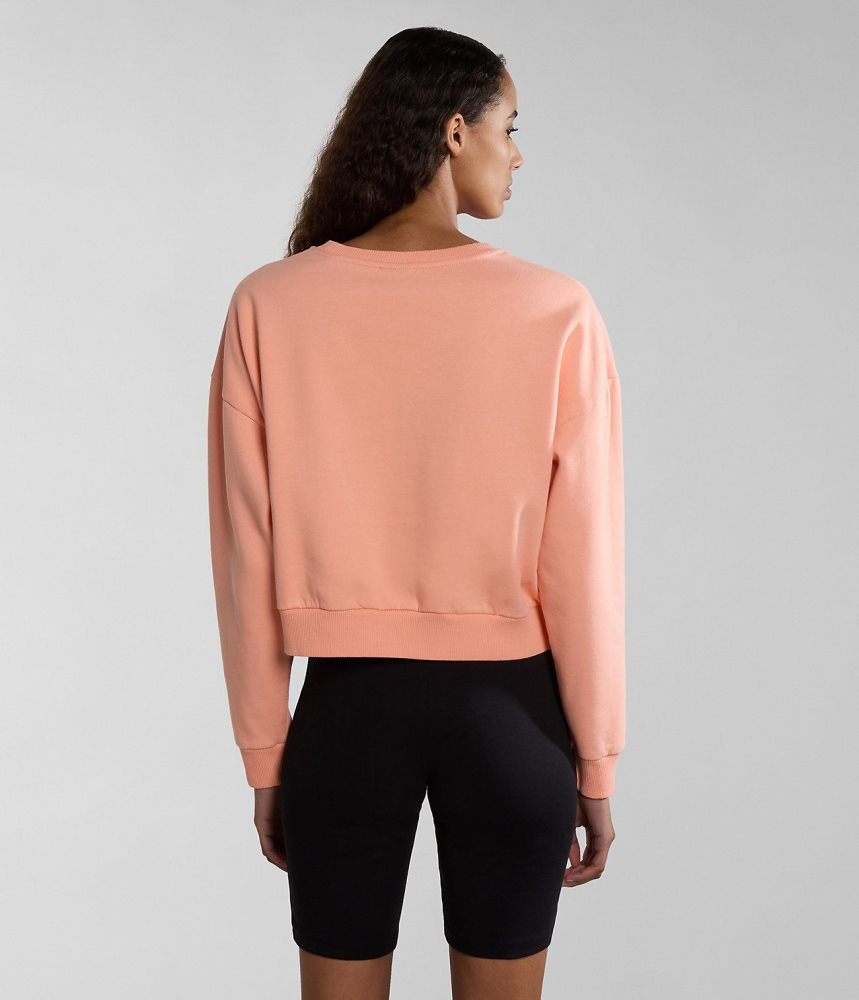Napapijri Box Sweatshirt Sweatshirts Dames Roze | MUWKJPV-06