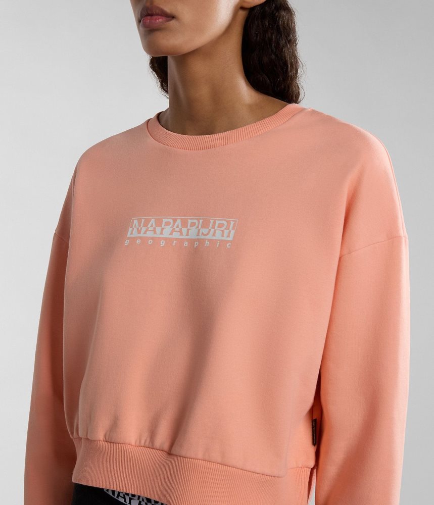 Napapijri Box Sweatshirt Sweatshirts Dames Roze | MUWKJPV-06