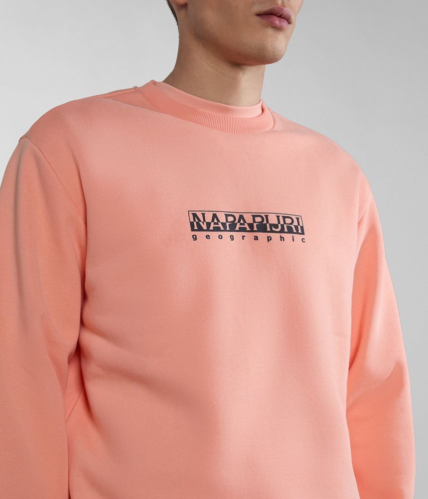 Napapijri Box Sweatshirt Sweatshirts Heren Roze | MIAOEVR-20