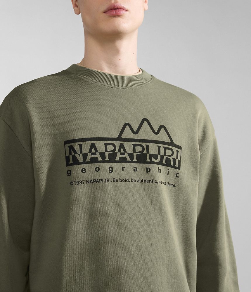 Napapijri Faber Sweatshirt Sweatshirts Dames Groen | ZMVSAFK-24