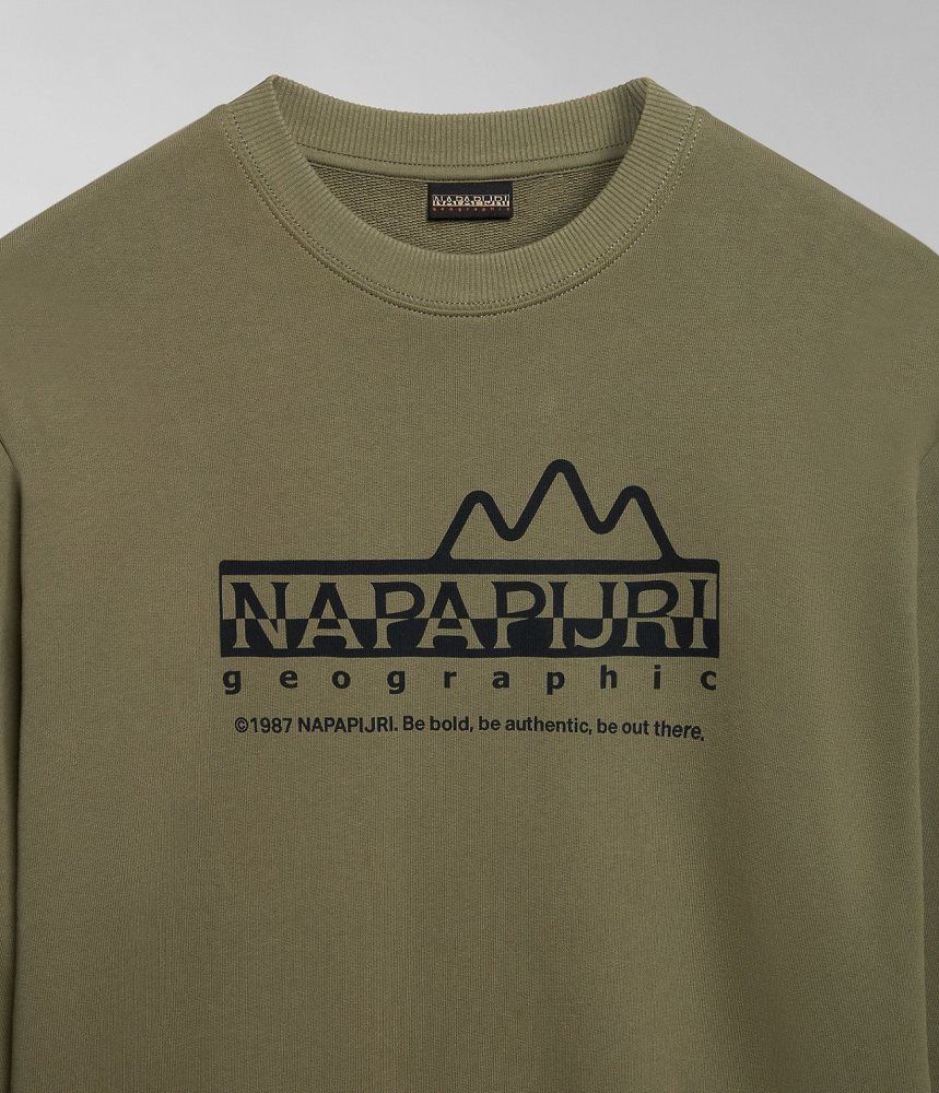 Napapijri Faber Sweatshirt Sweatshirts Dames Groen | ZMVSAFK-24