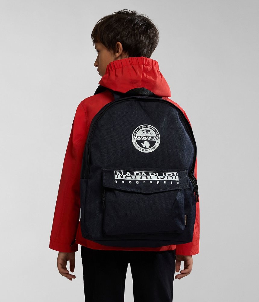 Napapijri Hornby Backpack Rugzakken Heren Donkerblauw | CXTHIPE-38