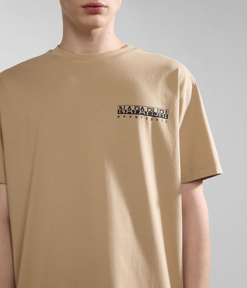 Napapijri Kotcho Short Sleeve T-Shirt T-shirts Dames Beige | FNEPUIA-87
