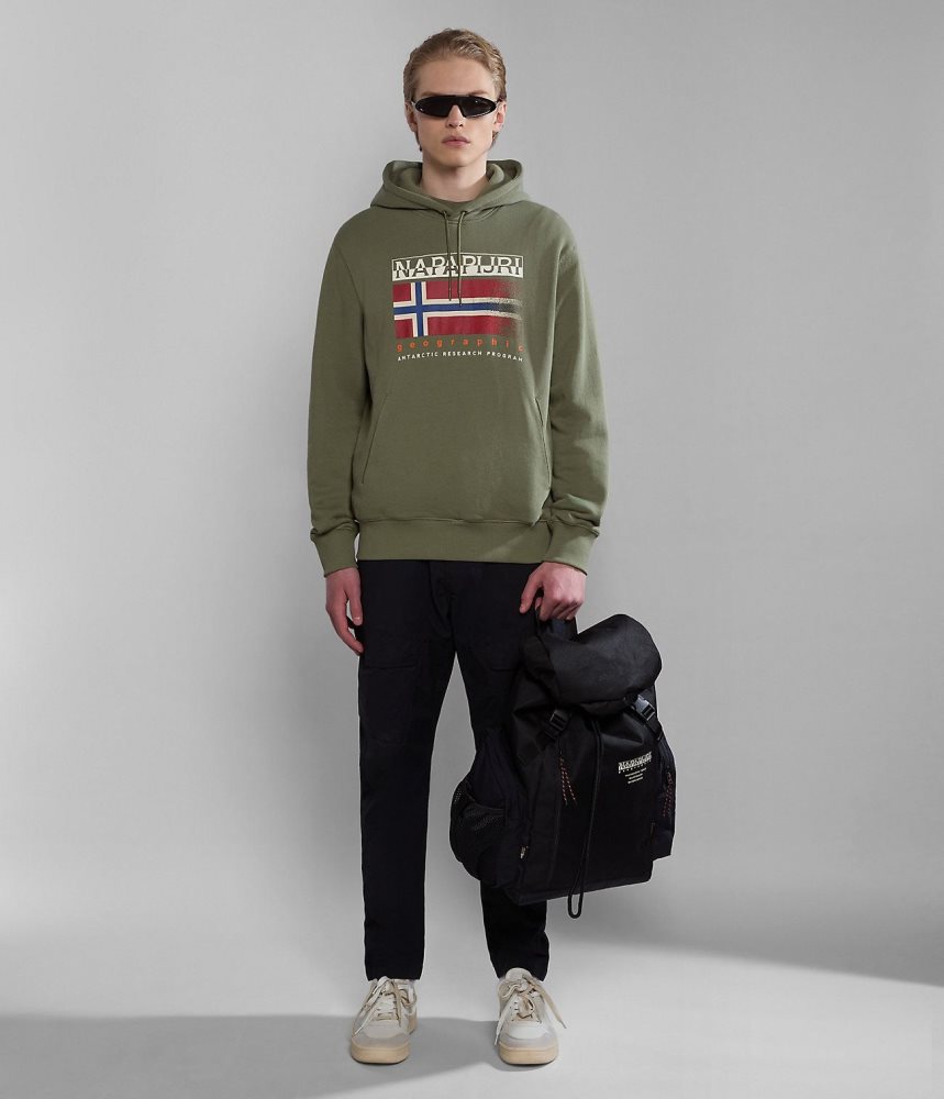 Napapijri Kreis Hoodie Hoodie Heren Groen | CDTIMUQ-39