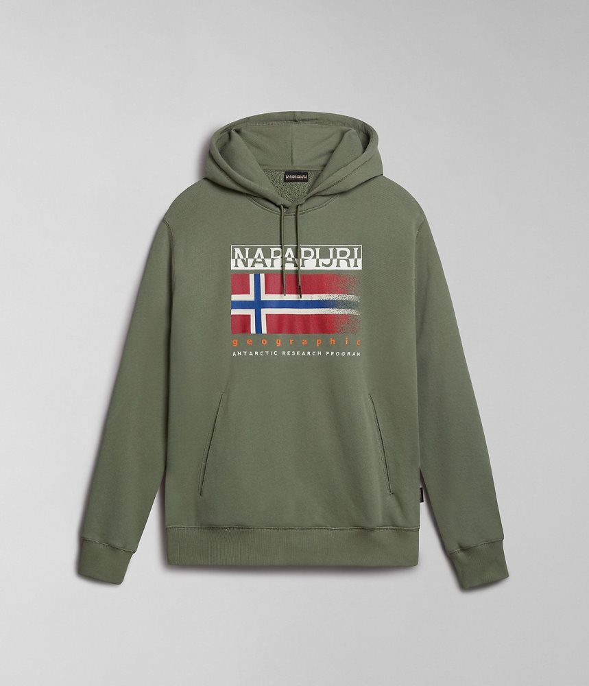 Napapijri Kreis Hoodie Hoodie Heren Groen | CDTIMUQ-39