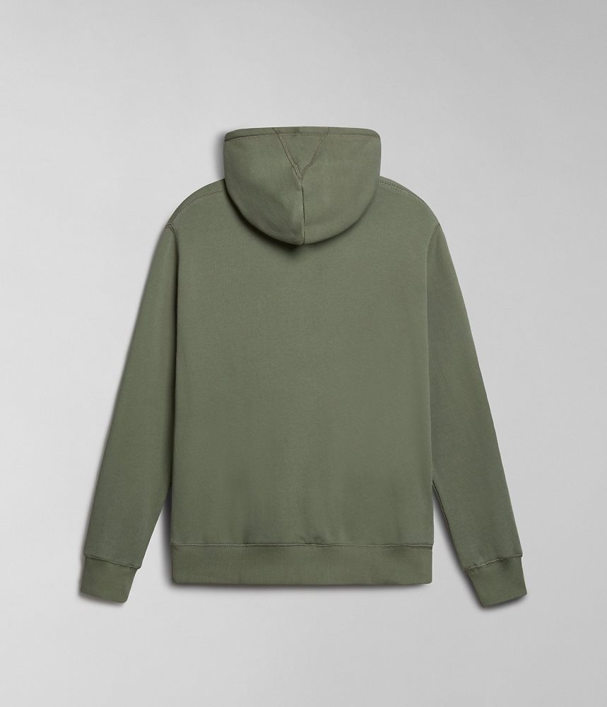 Napapijri Kreis Hoodie Hoodie Heren Groen | CDTIMUQ-39