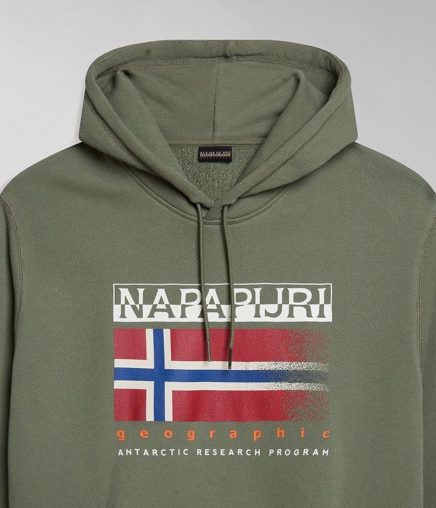 Napapijri Kreis Hoodie Hoodie Heren Groen | CDTIMUQ-39