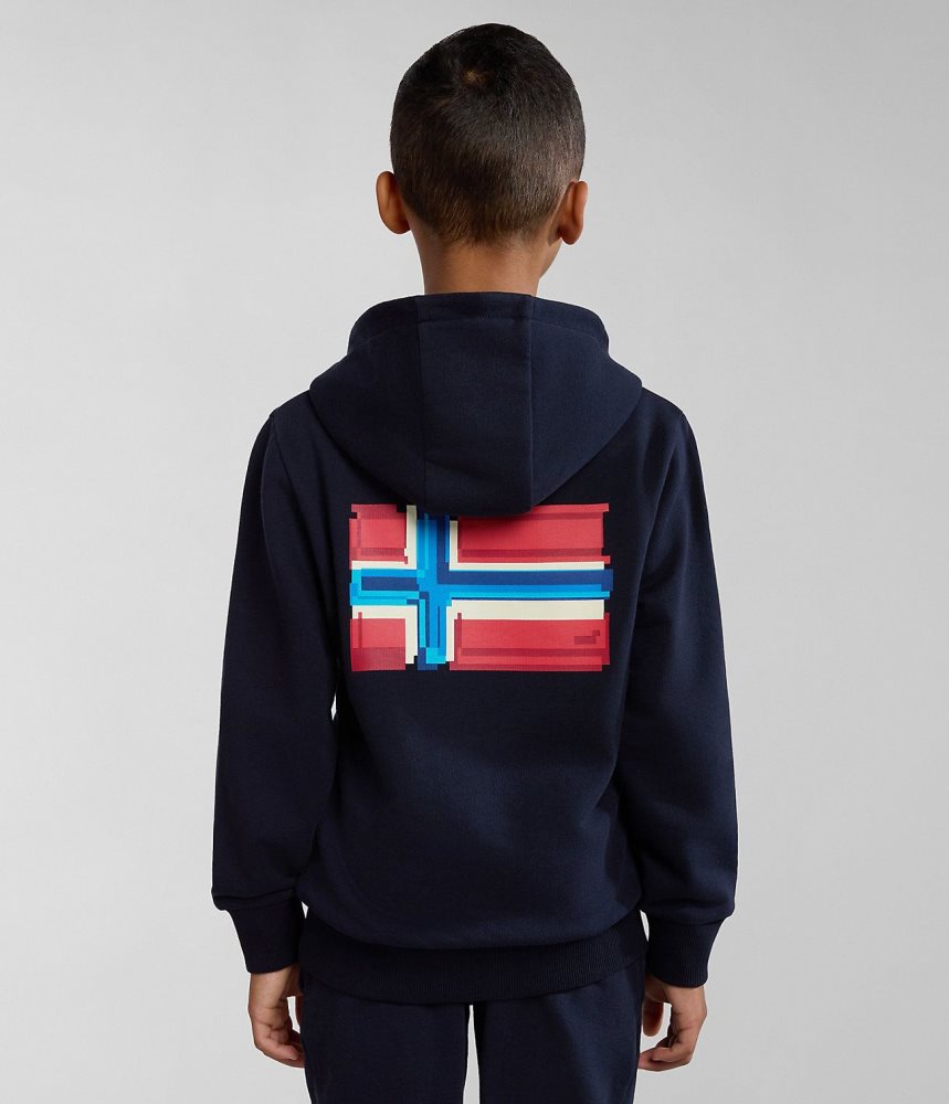 Napapijri Liard Hoodie (4-16 YEARS) Hoodie Kinderen Donkerblauw | DWHLUIF-85