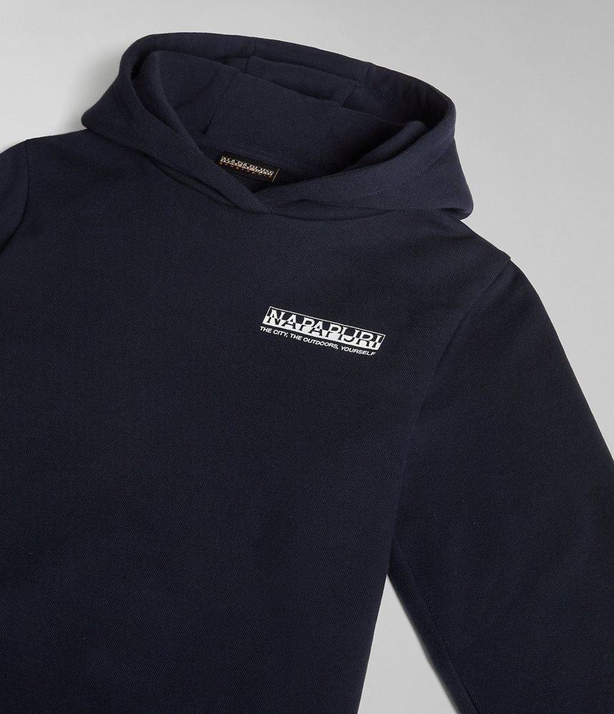 Napapijri Liard Hoodie (4-16 YEARS) Hoodie Kinderen Donkerblauw | DWHLUIF-85