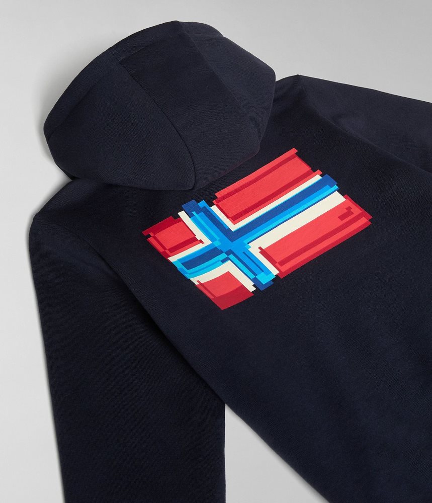 Napapijri Liard Hoodie (4-16 YEARS) Hoodie Kinderen Donkerblauw | DWHLUIF-85