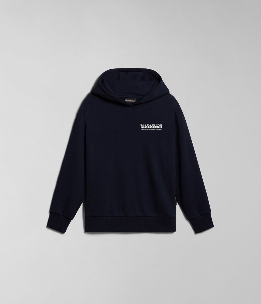 Napapijri Liard Hoodie (4-16 YEARS) Hoodie Kinderen Donkerblauw | DWHLUIF-85
