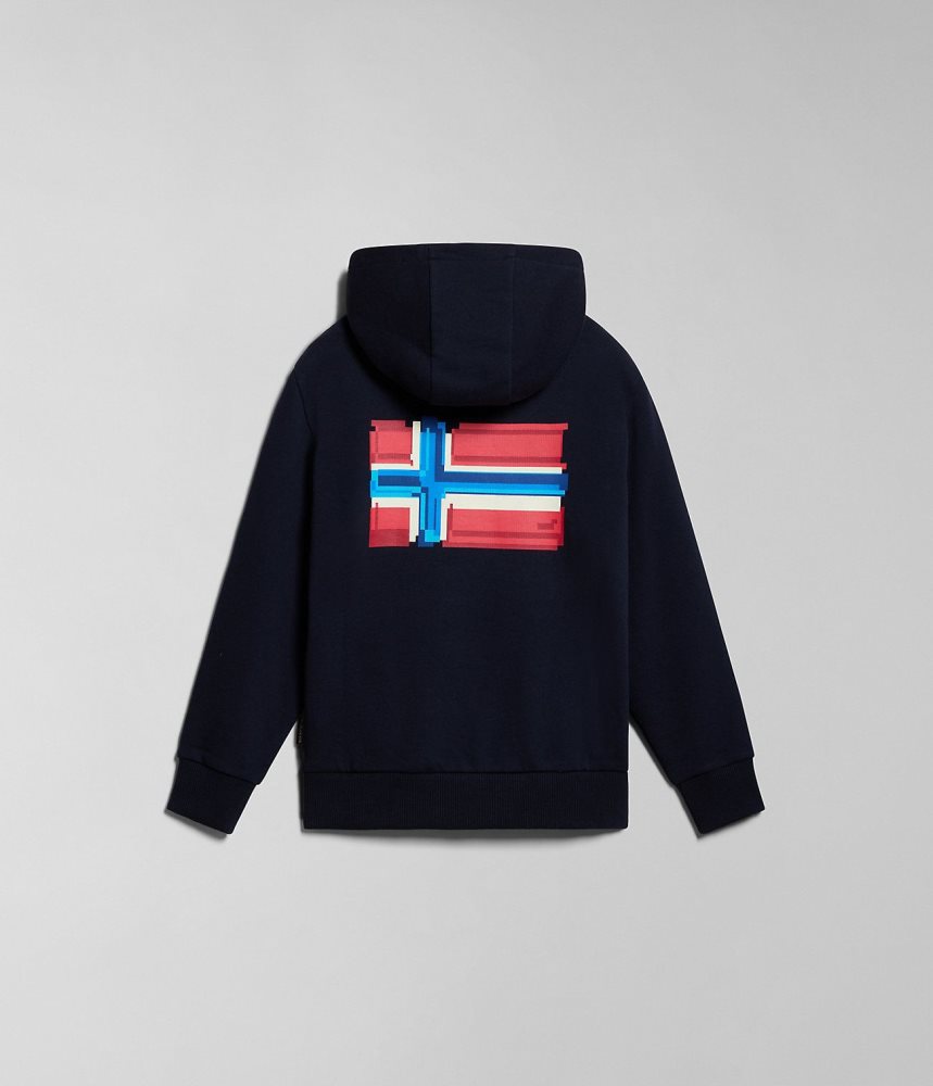 Napapijri Liard Hoodie (4-16 YEARS) Hoodie Kinderen Donkerblauw | DWHLUIF-85