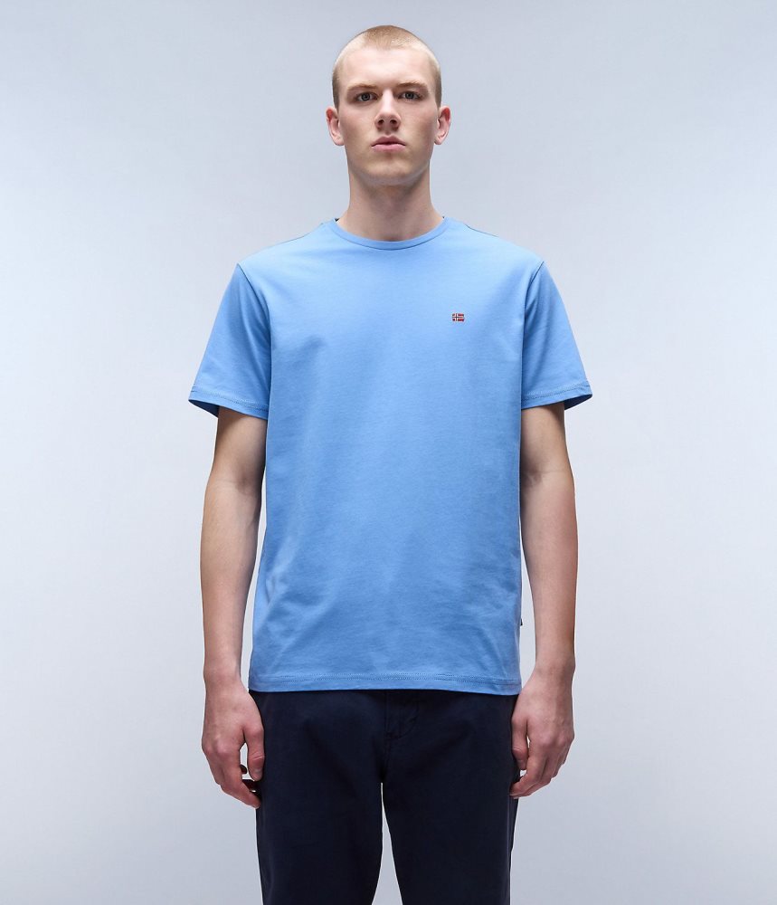 Napapijri Salis Short Sleeve T-Shirt T-shirts Heren Blauw Grijs | TSMDHLN-35