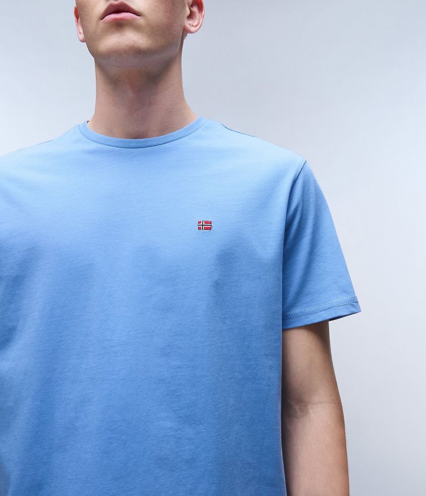 Napapijri Salis Short Sleeve T-Shirt T-shirts Heren Blauw Grijs | TSMDHLN-35