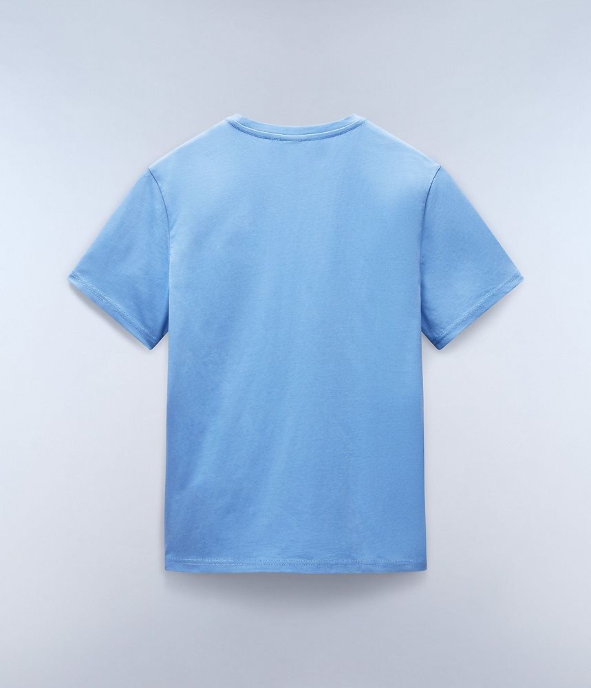 Napapijri Salis Short Sleeve T-Shirt T-shirts Heren Blauw Grijs | TSMDHLN-35